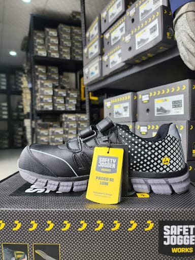 Paulvic Safety worker with safety equipment